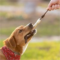 TEETHER PER ANIMALI
